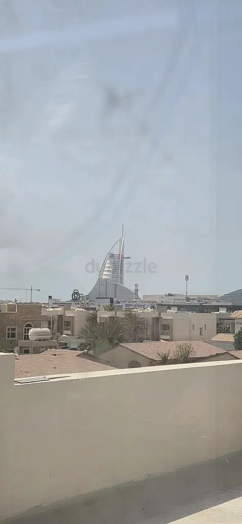 p12234554