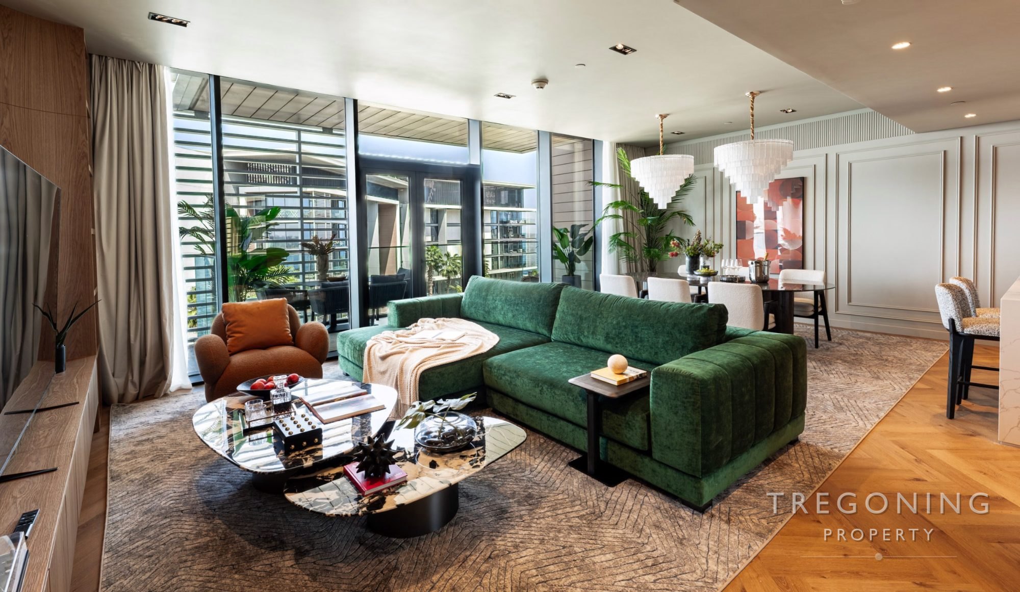 Living room(4)