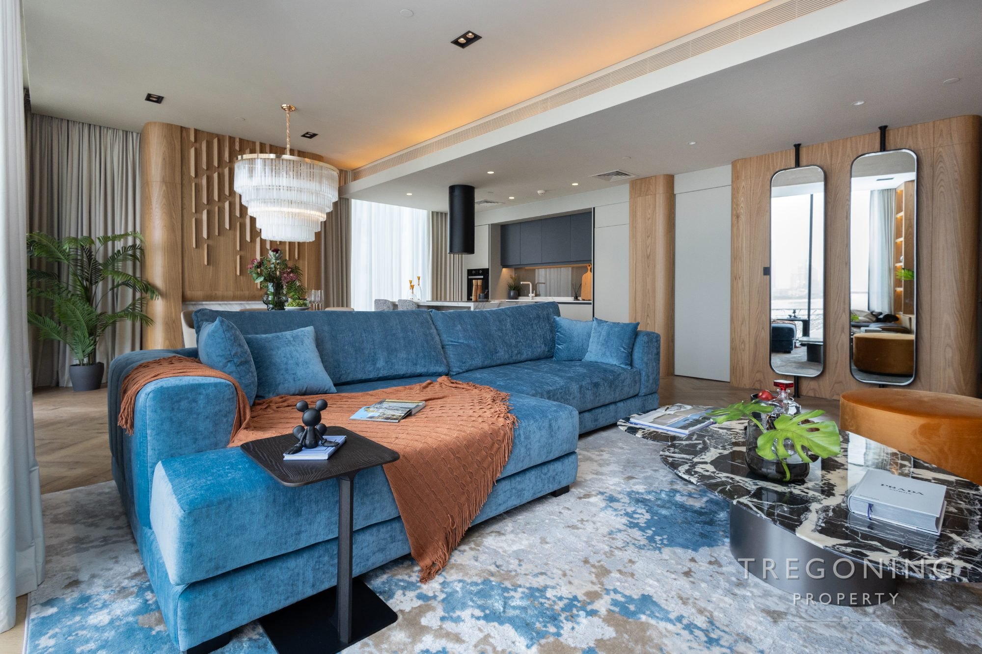 Living room(6)
